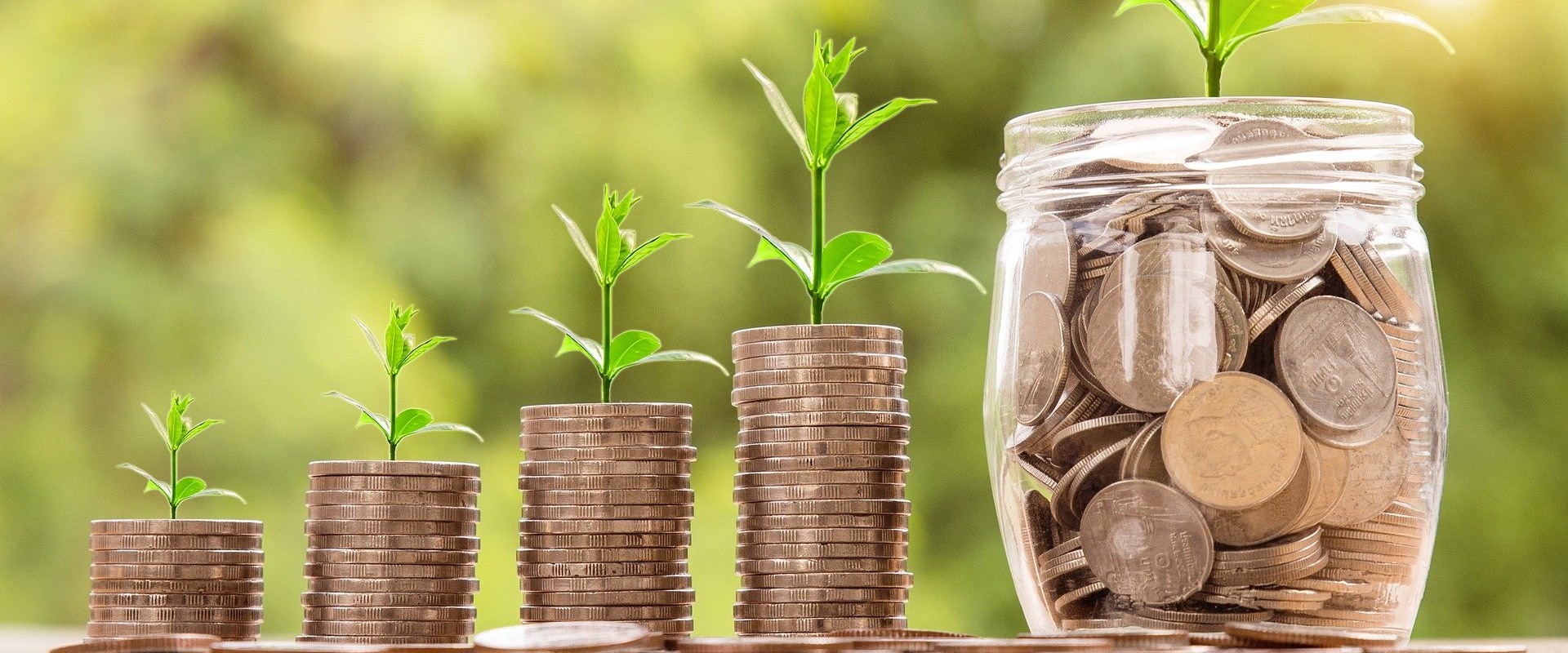 What is Debt Management and Collection System?